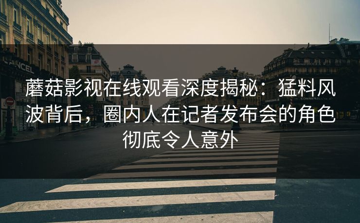 蘑菇影视在线观看深度揭秘：猛料风波背后，圈内人在记者发布会的角色彻底令人意外
