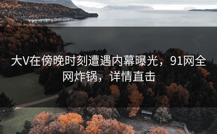 大V在傍晚时刻遭遇内幕曝光，91网全网炸锅，详情直击