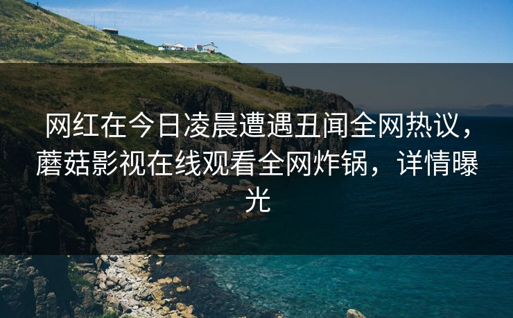 网红在今日凌晨遭遇丑闻全网热议，蘑菇影视在线观看全网炸锅，详情曝光