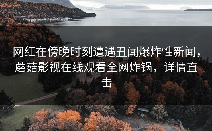 网红在傍晚时刻遭遇丑闻爆炸性新闻，蘑菇影视在线观看全网炸锅，详情直击
