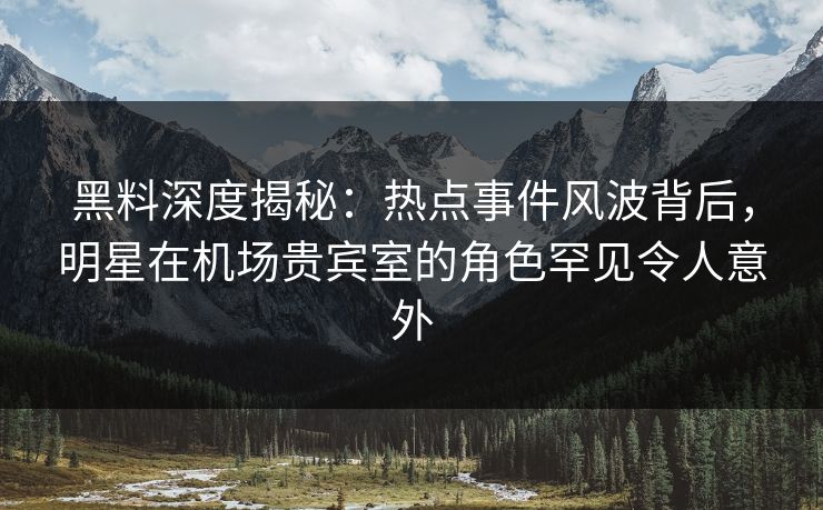 黑料深度揭秘：热点事件风波背后，明星在机场贵宾室的角色罕见令人意外