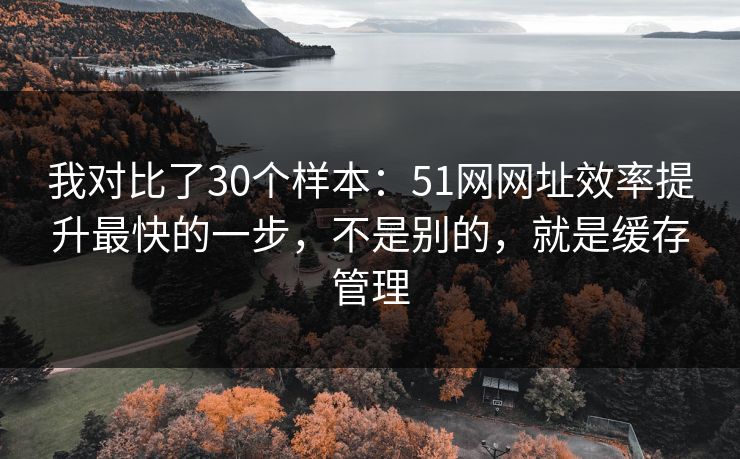 我对比了30个样本：51网网址效率提升最快的一步，不是别的，就是缓存管理